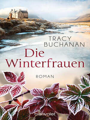 cover image of Die Winterfrauen
